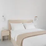 Hotel Noeme Santorini